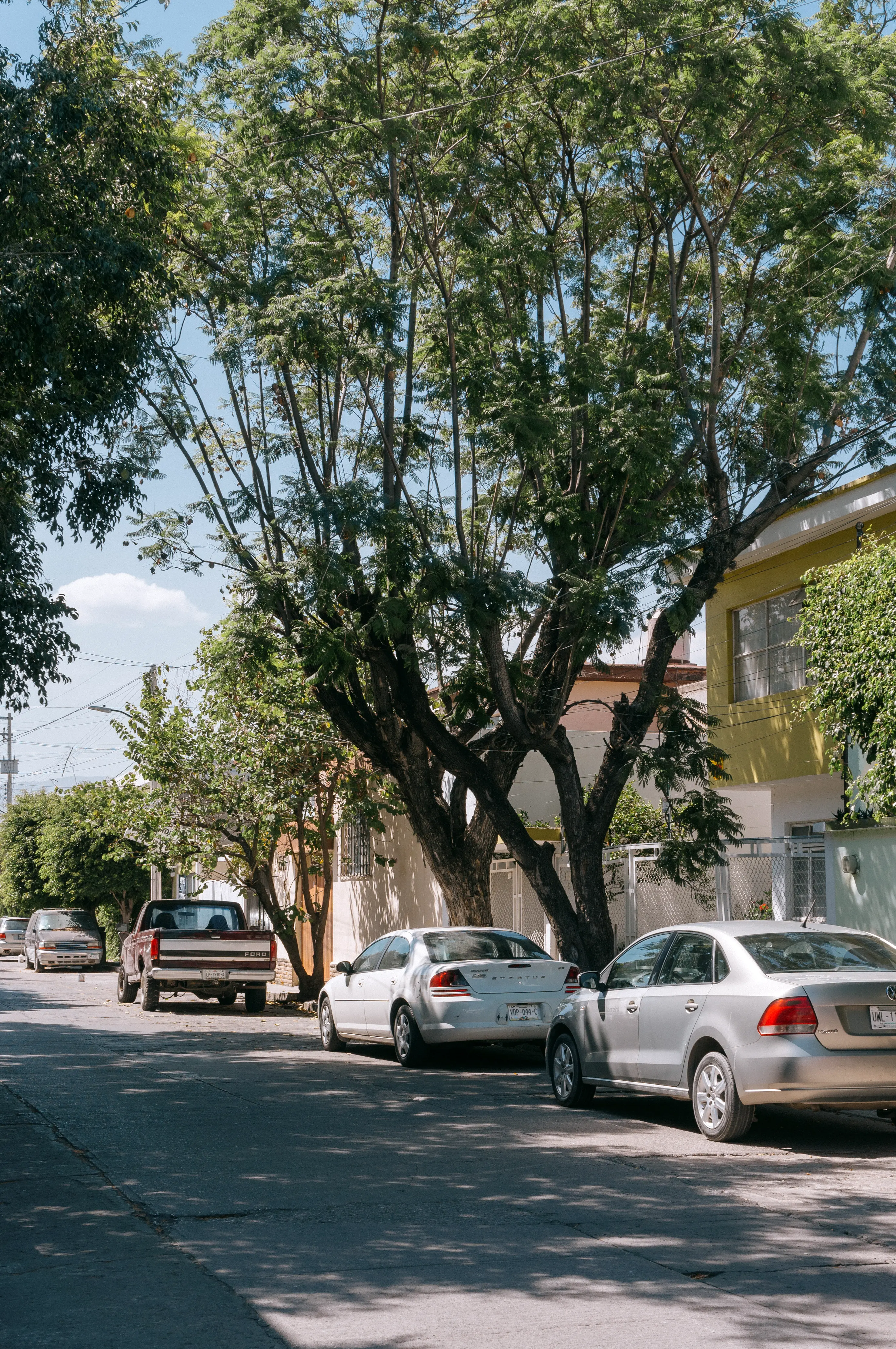 Foto de una calle al sol del mediodía. Se observa sólo el lado derecho de la calle, con una hilera de carros estacionados y algunos árboles de copa alta